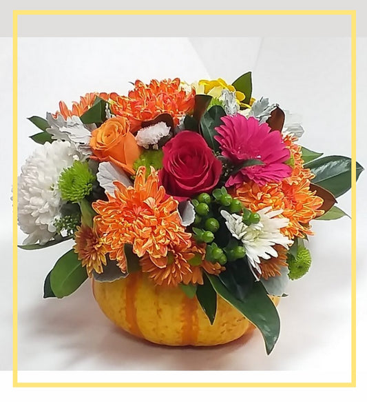 Cinderella’s Coach