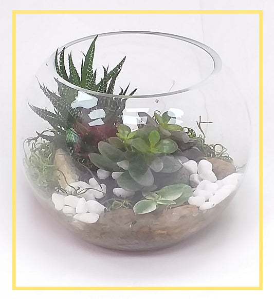 Tonto Garden Terrarium