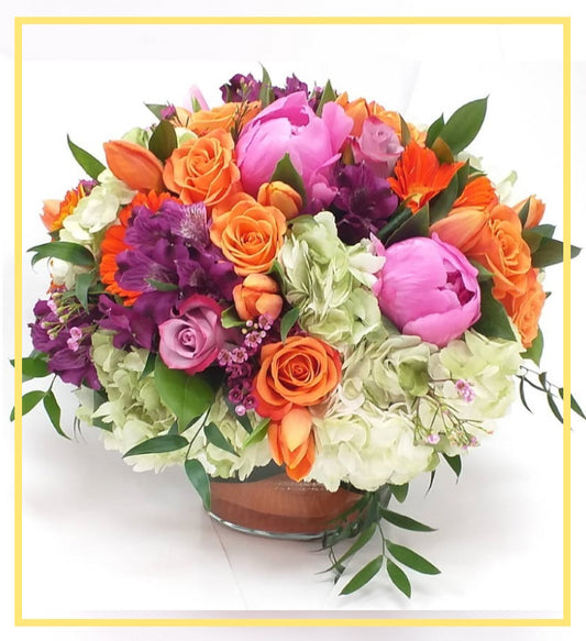 Congratulations & Celebration